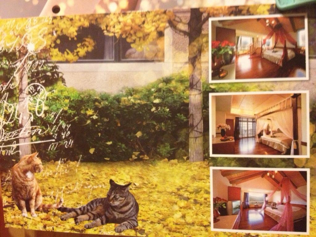 Dream Forest Villa Renai Extérieur photo