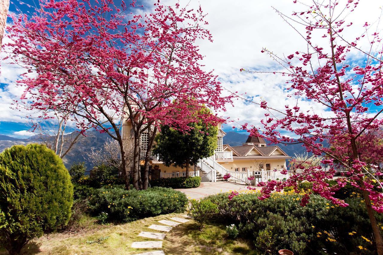 Dream Forest Villa Renai Extérieur photo